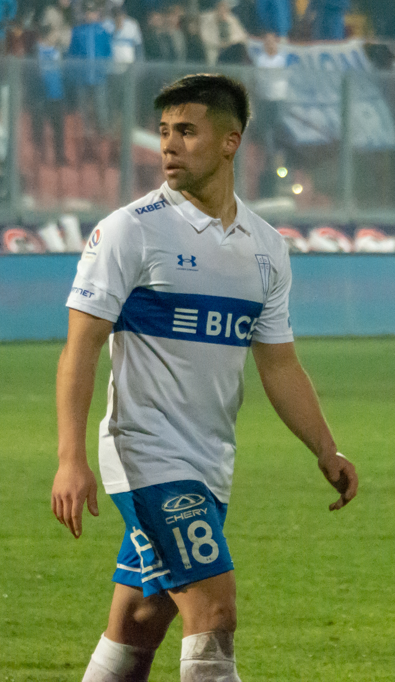 Alexander Aravena