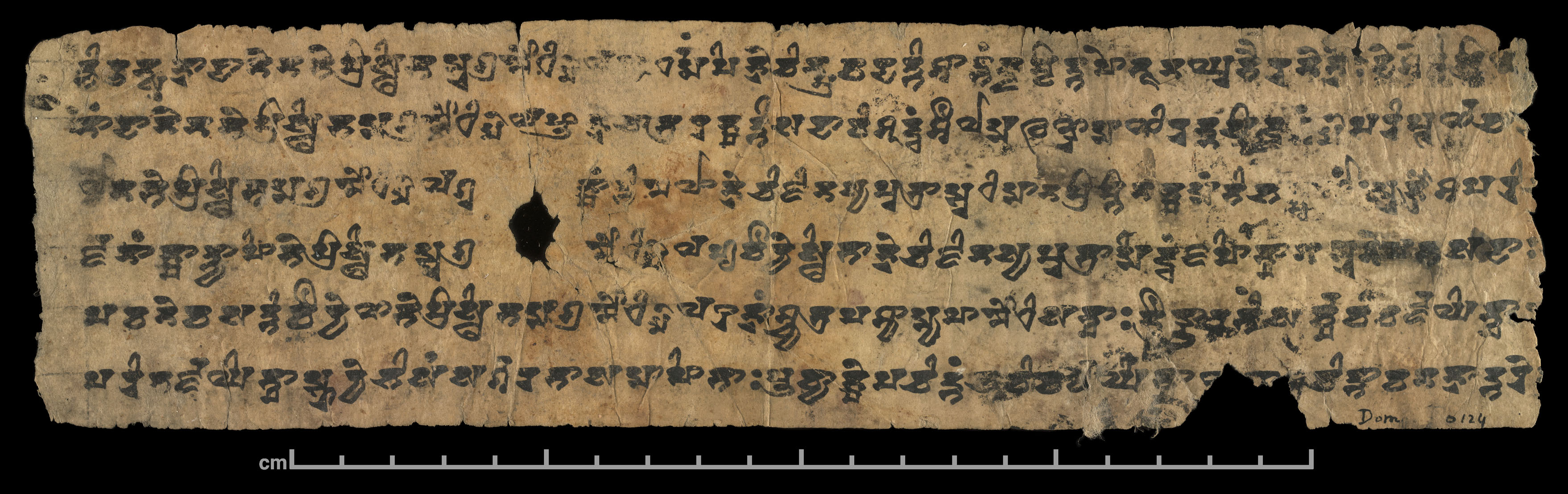 Lotus Sutra