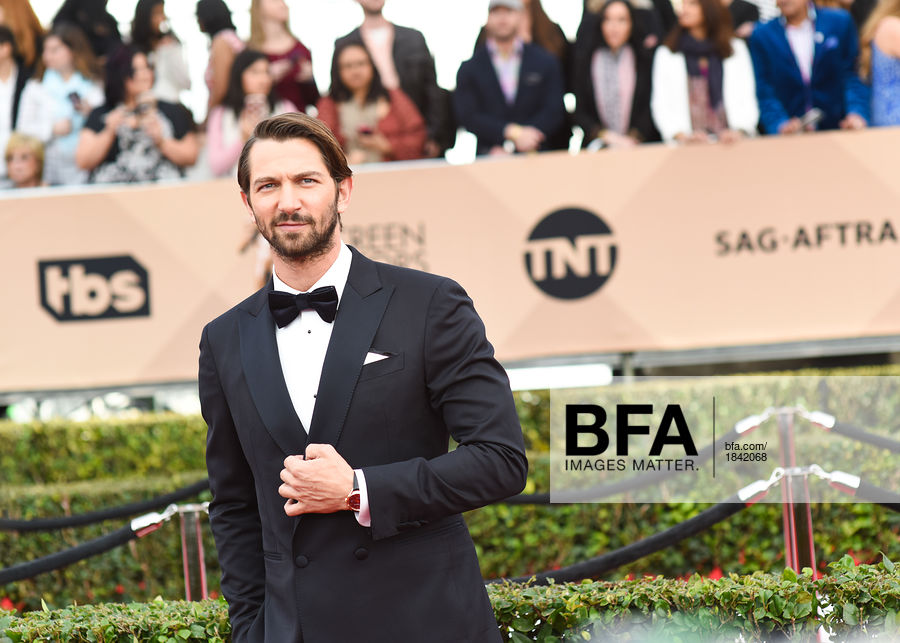 Michiel Huisman receiving an award
