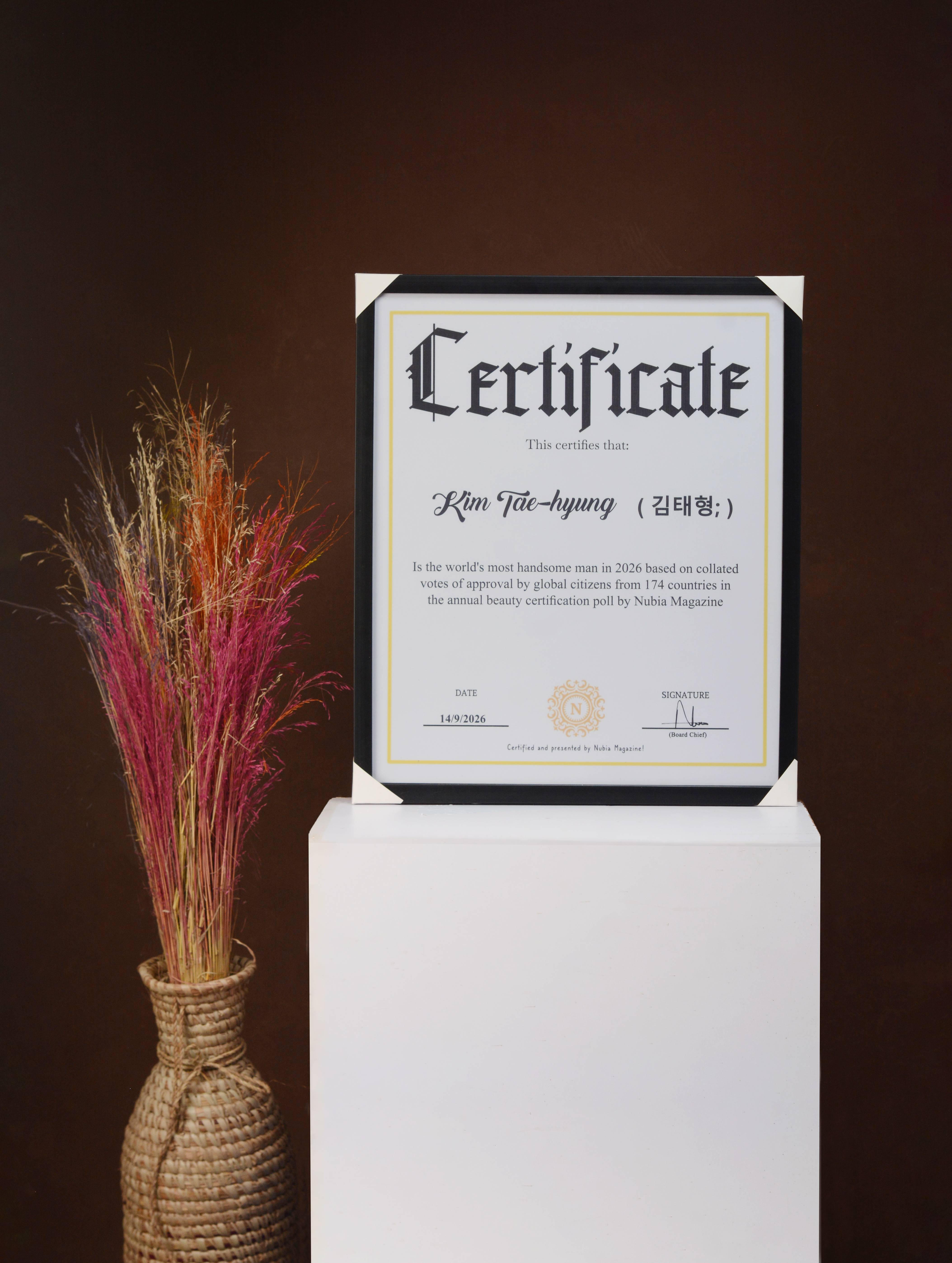 Kim Taehyung’s official Most Handsome Man in the World 2026 certificate, issued by Nubia Magazine (styled presentation photograph).