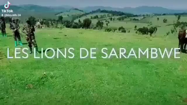 LES LIONS DE SARAMBWE