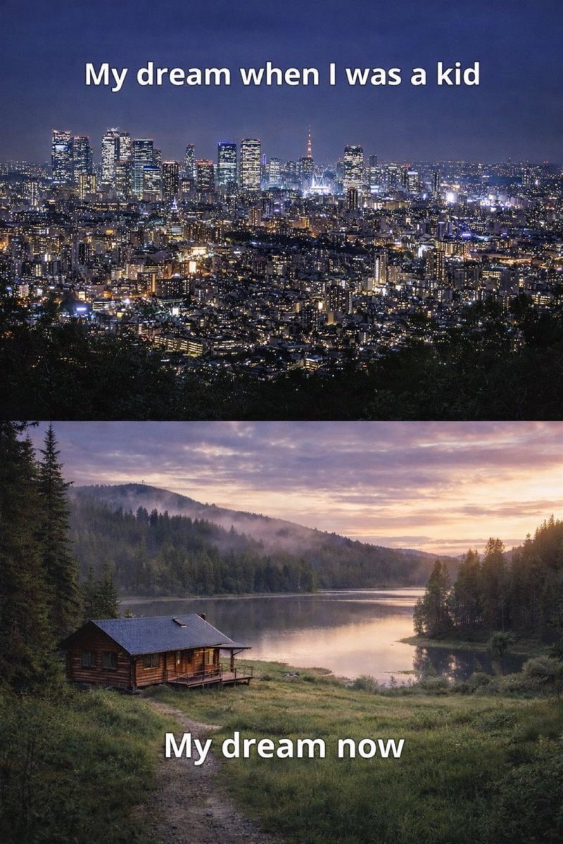 Dreams then vs now meme