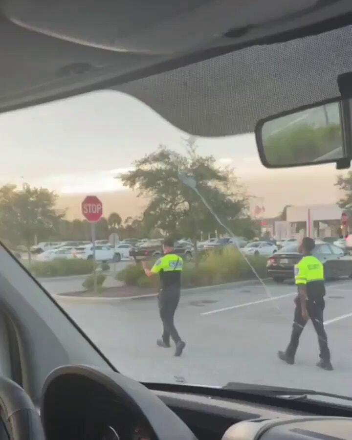 Flock camera theft