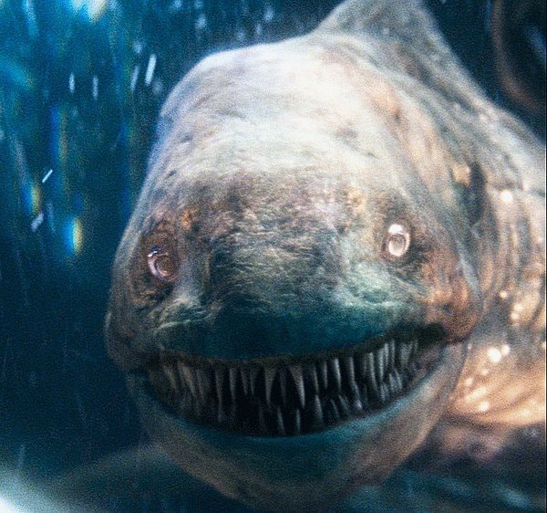 the amazing spider-man 2 fish reaction gif