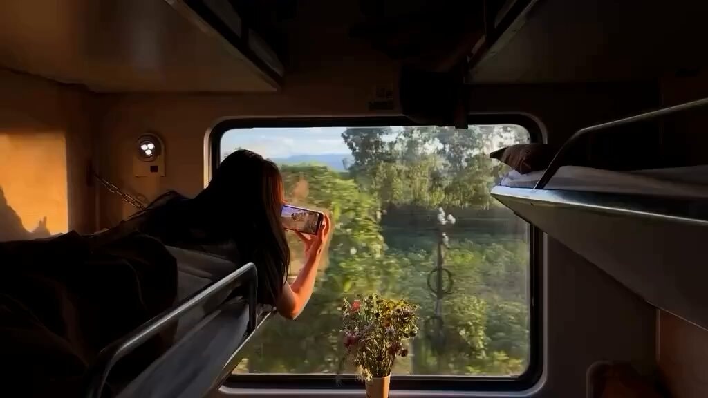 train view reaction