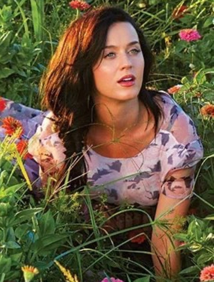 Katy Perry Legendary Lovers