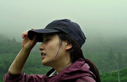 Little Forest Summer/Autumn GIF