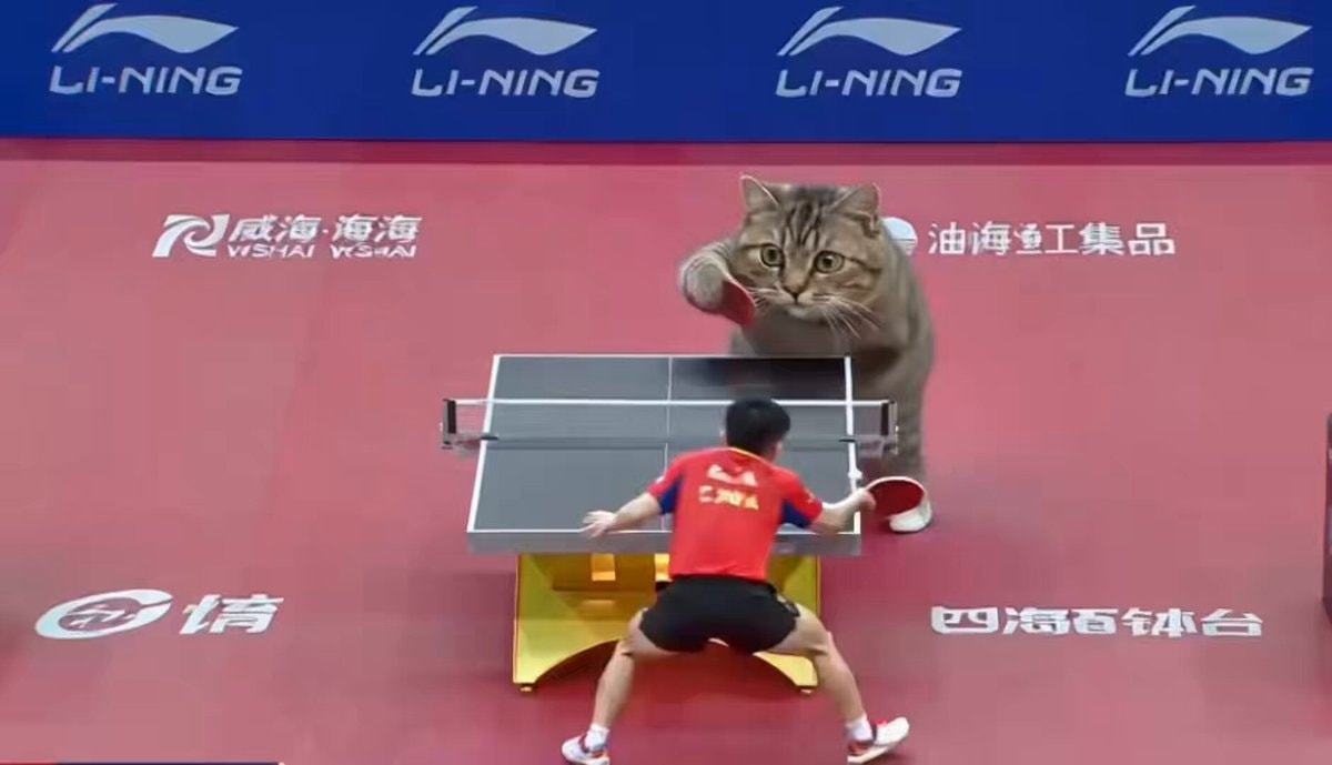 AI powered cats in China