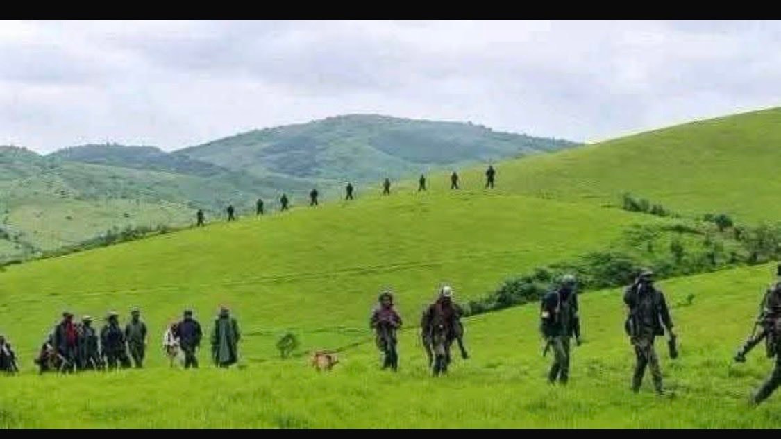 Sultani Makenga Sarambwe lions North Kivu