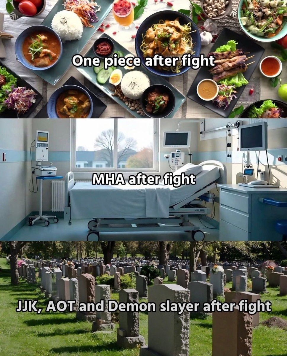 Anime after fight meme