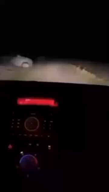 Driver trusting GPS directions