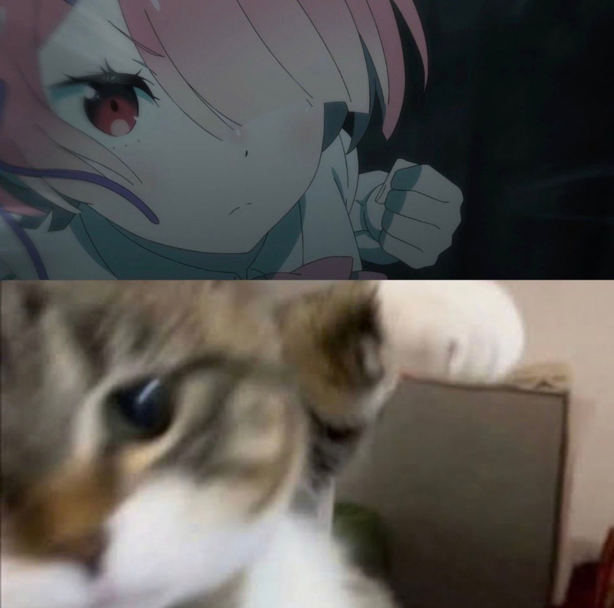 meme split into two panels