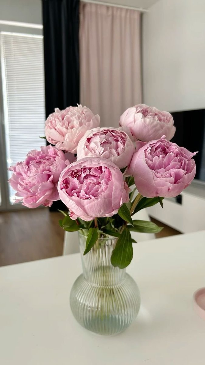 pink peonies in a glass vase (photo 2 of 4)