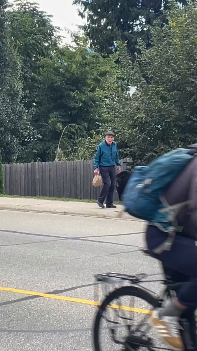 man with dog quailsgalore