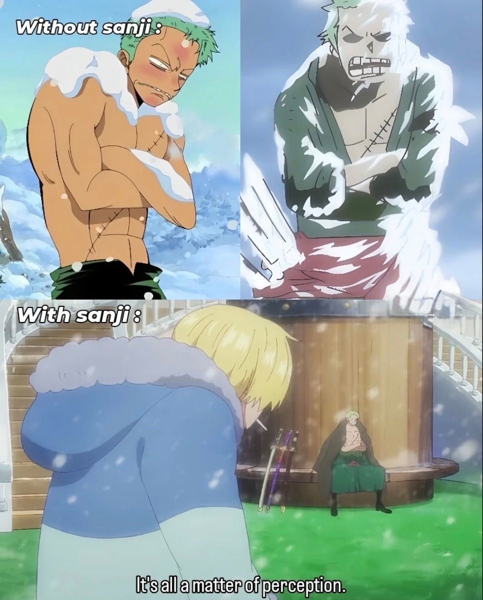 Zoro meme perception snow Zoro meme perception snow