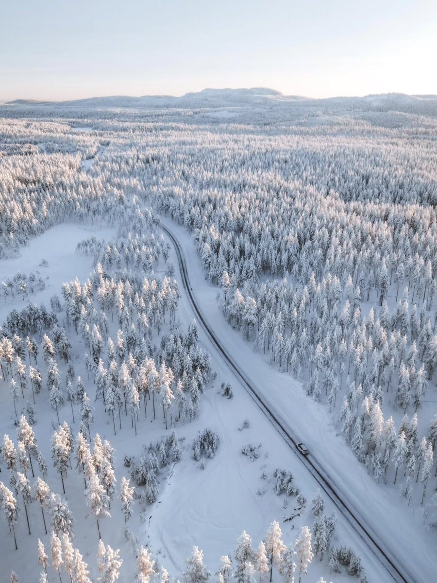 Finland snowy forest aerial (photo 3 of 3)