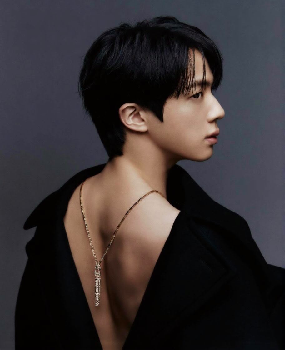 JIN wins MYSTAR Award Male