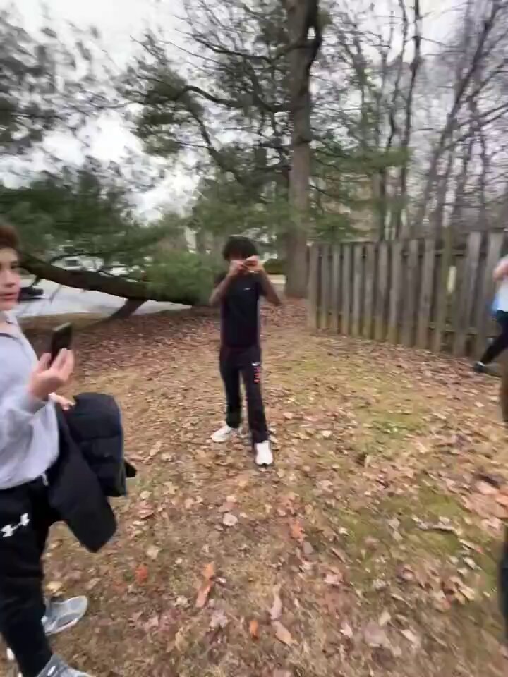videos found