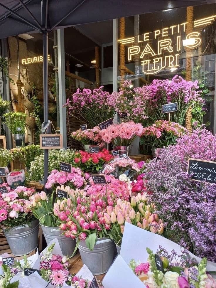 Fleurs d'Alger flower shop (photo 2 of 4)