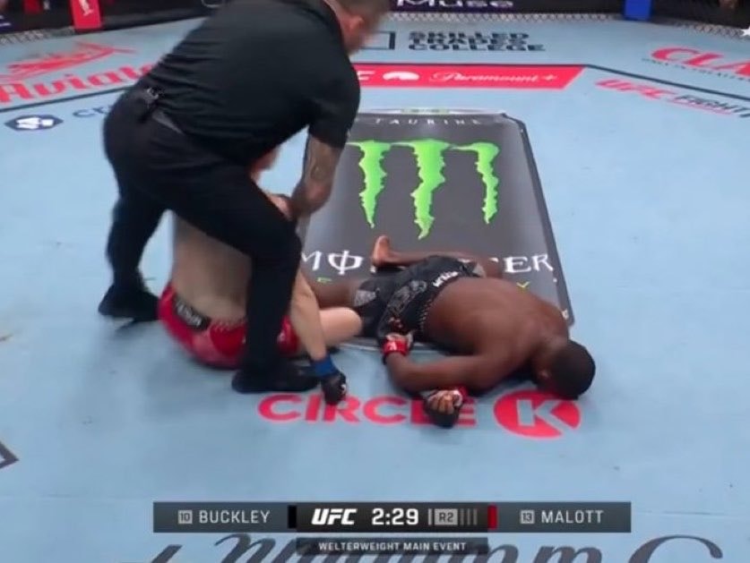 UFC referee steps in