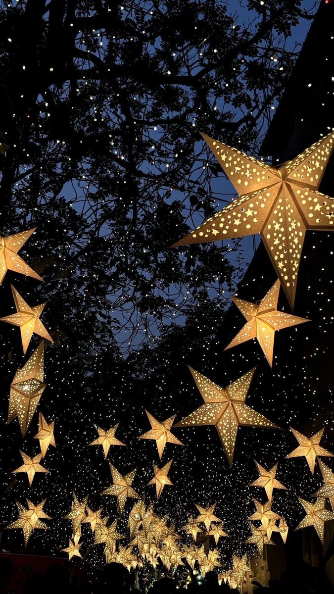 glowing star lights on trees (photo 2 of 2)