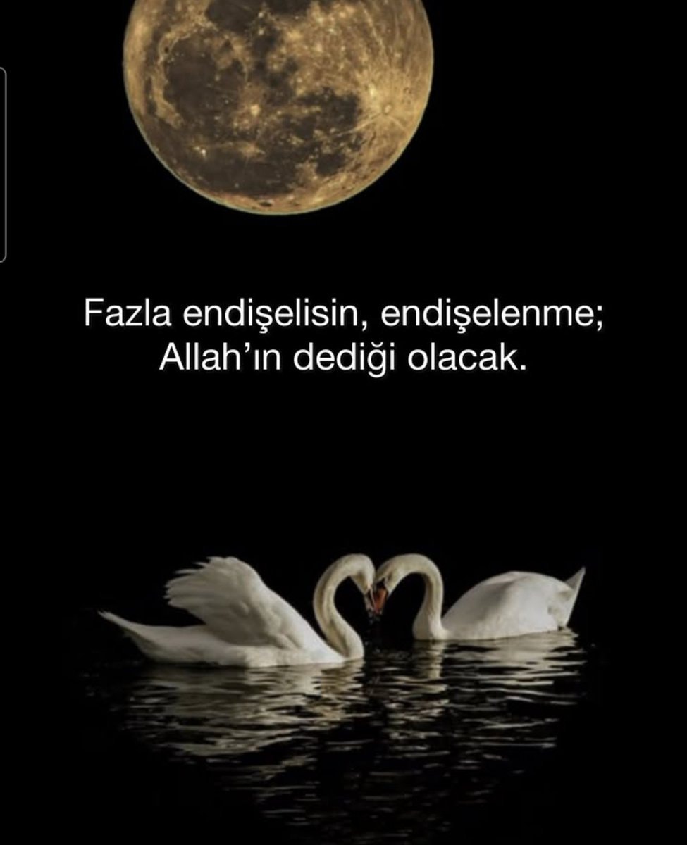 Swan heart moon Allah quote
