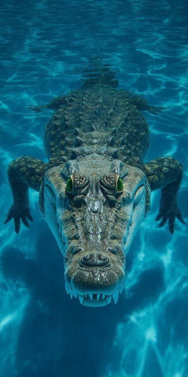 crocodile head open mouth (photo 2 of 2)