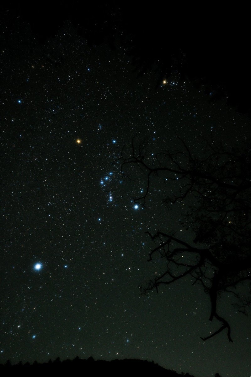 Orion night sky 😍