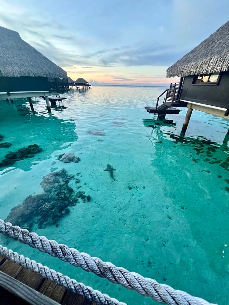 Maldives overwater bungalows
