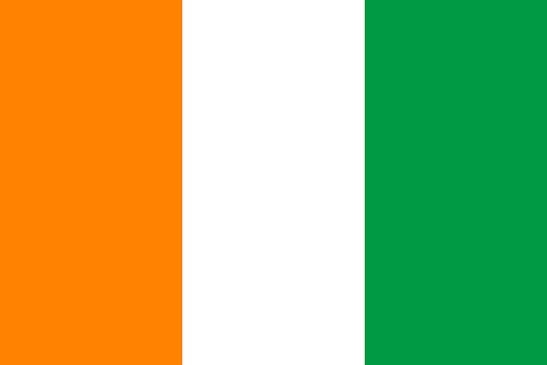 Norway eliminates Ivory Coast World Cup (photo 2 of 2)