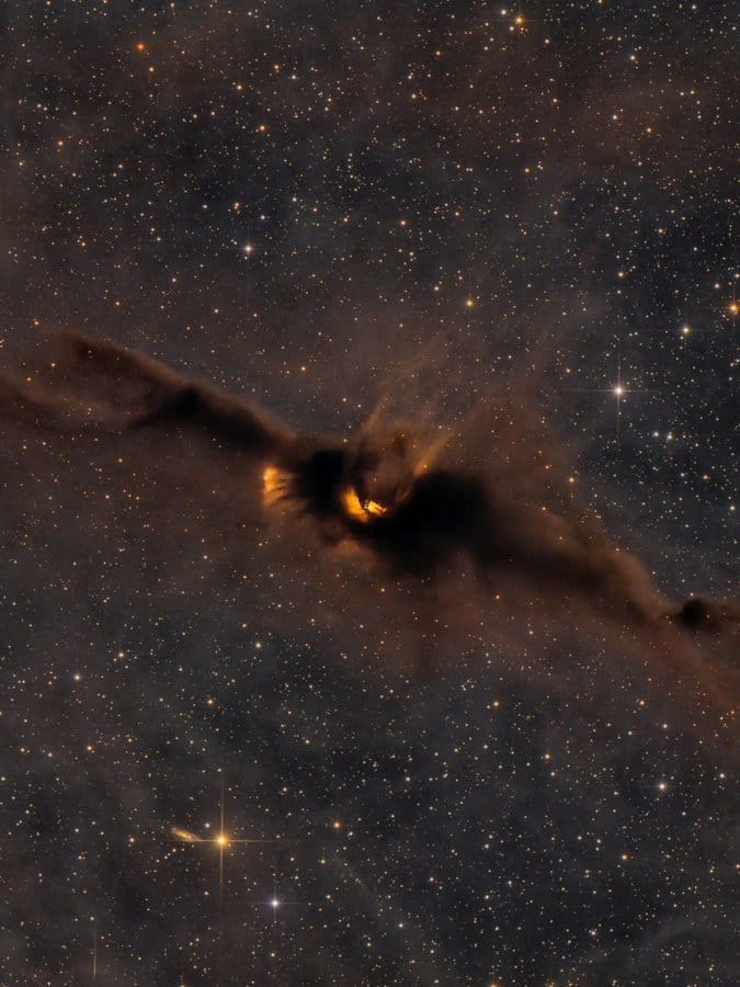 Cosmic Bat Nebula LDN 43