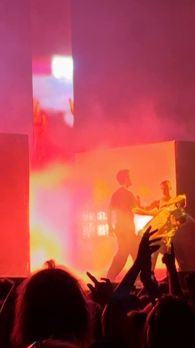 Lorde Free Palestine at Syd For Solen
