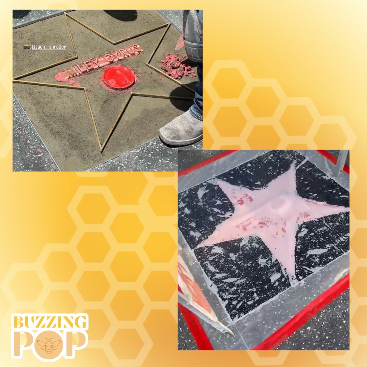 Miley Cyrus Walk of Fame star (photo 2 of 2)