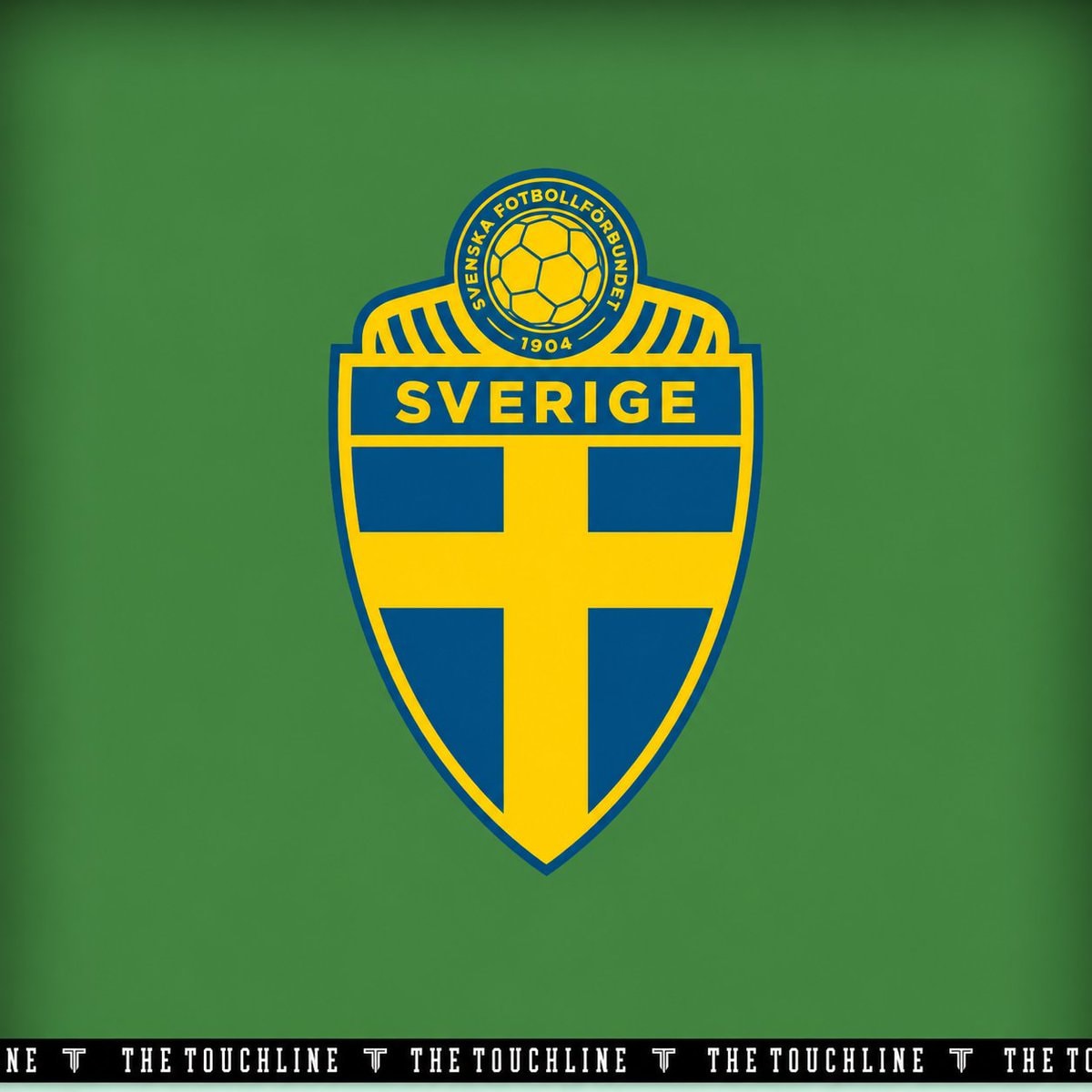 Sweden World Cup player (photo 2 of 2)