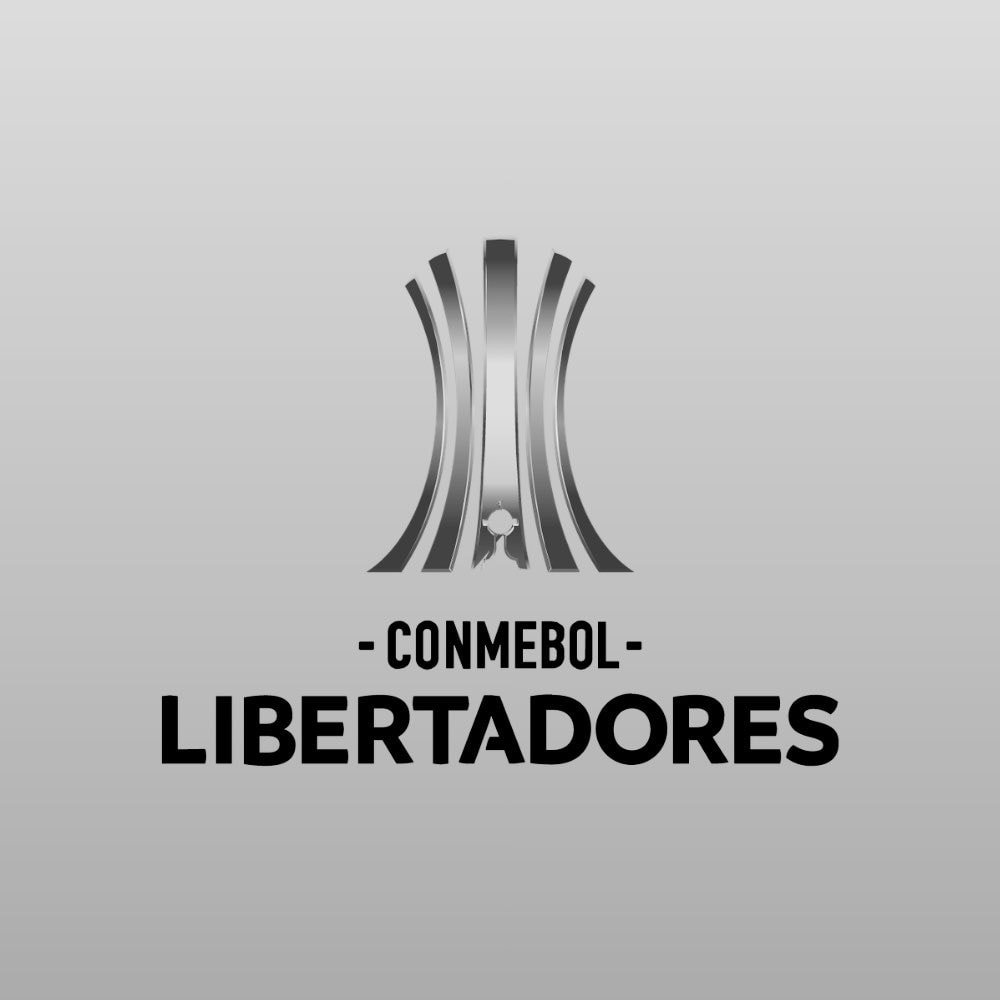 Fluminense Copa Libertadores elimination (photo 2 of 2)