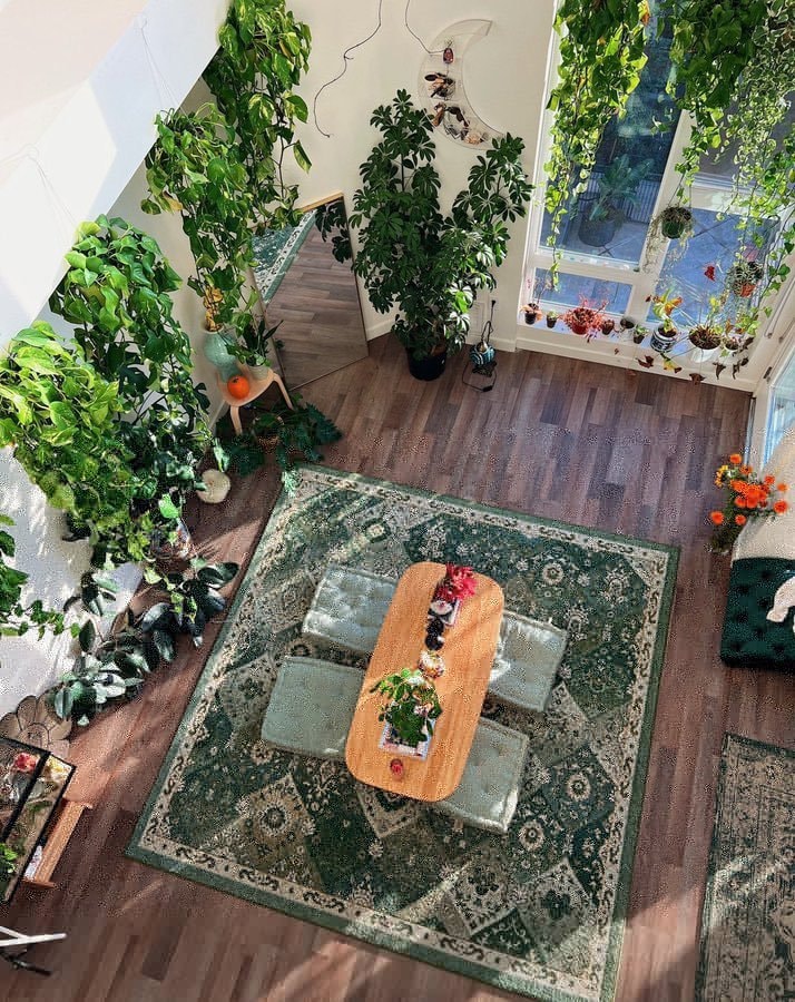 Cozy bohemian living room with plants