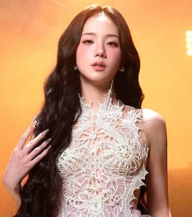 Jisoo CLICK YouTube stats (photo 2 of 2)