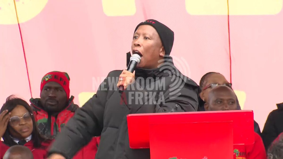 Malema pension grant pledge