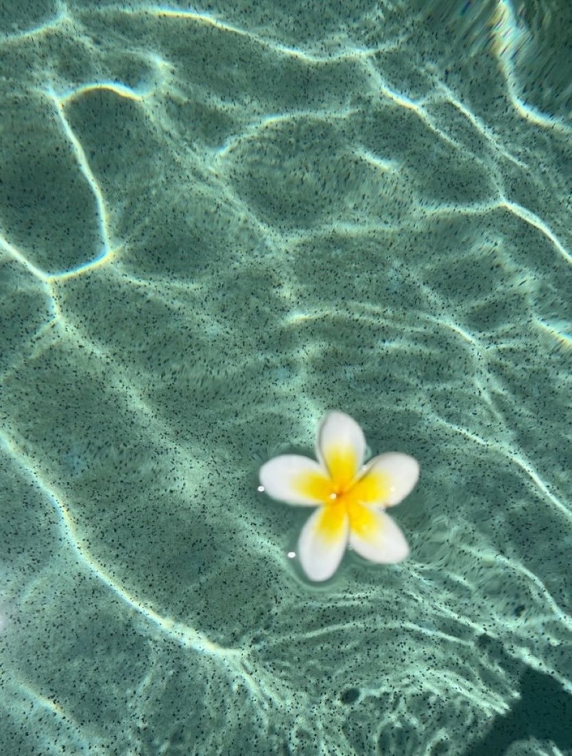 Tropical Beach Drinks Summer Vibes (photo 3 of 4)