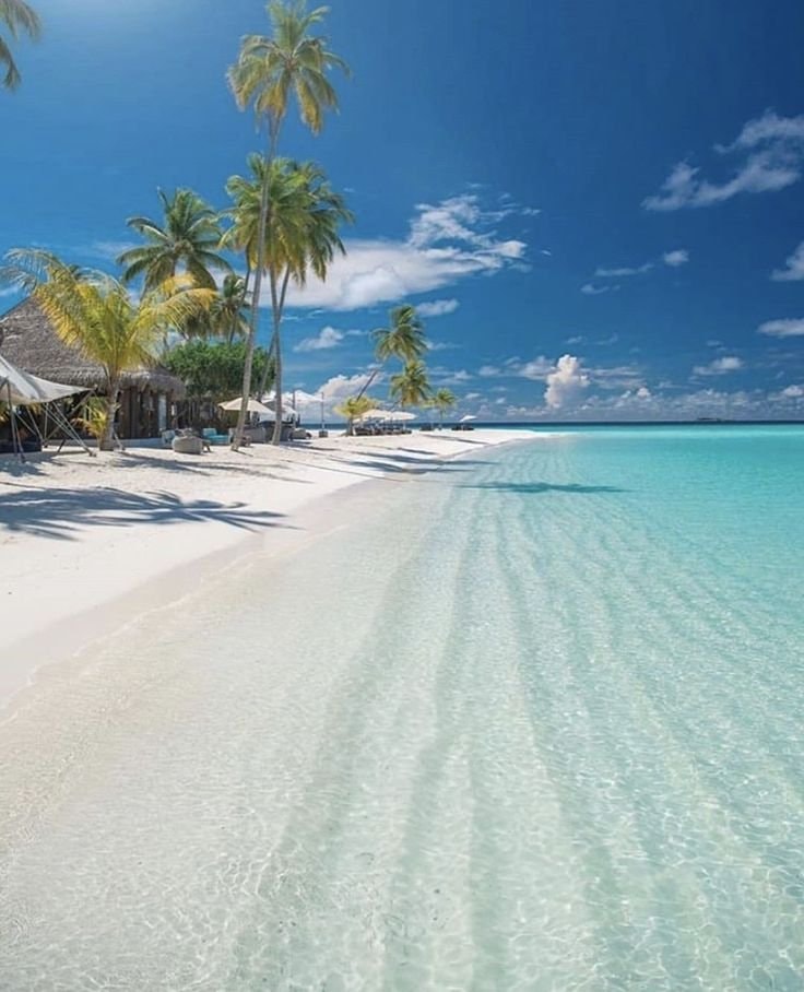 Maldives beach view