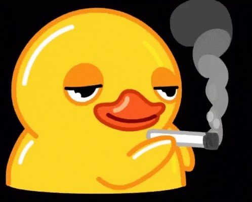 Yellow rubber duck with cigarette