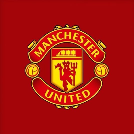 Michael Carrick Manchester United crisis (photo 2 of 2)