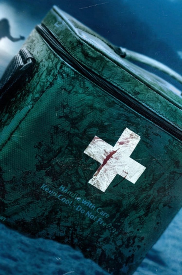 Resident Evil $80M global box office projection