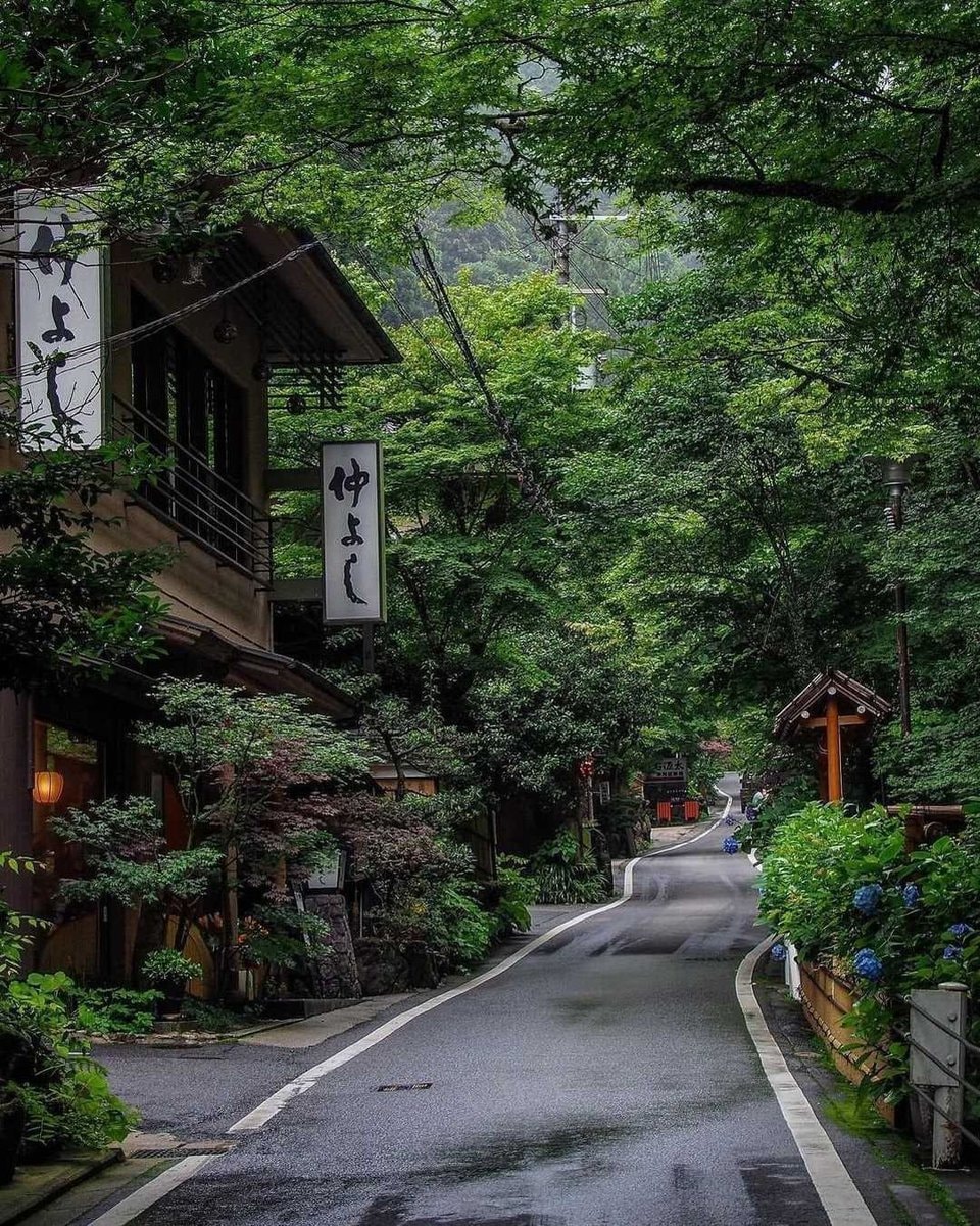 Kyoto Japan street scene