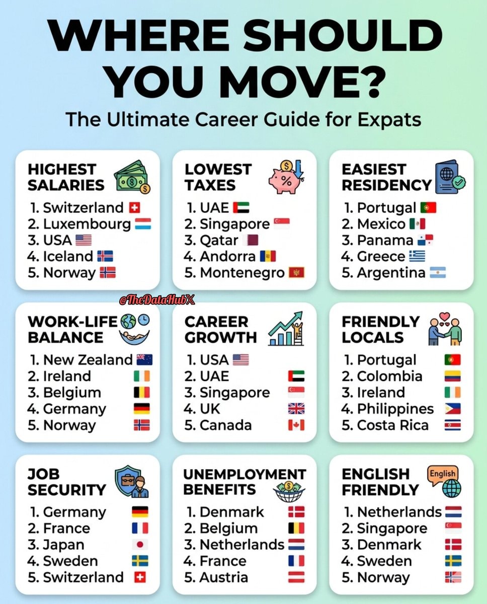 Expats career guide infographic