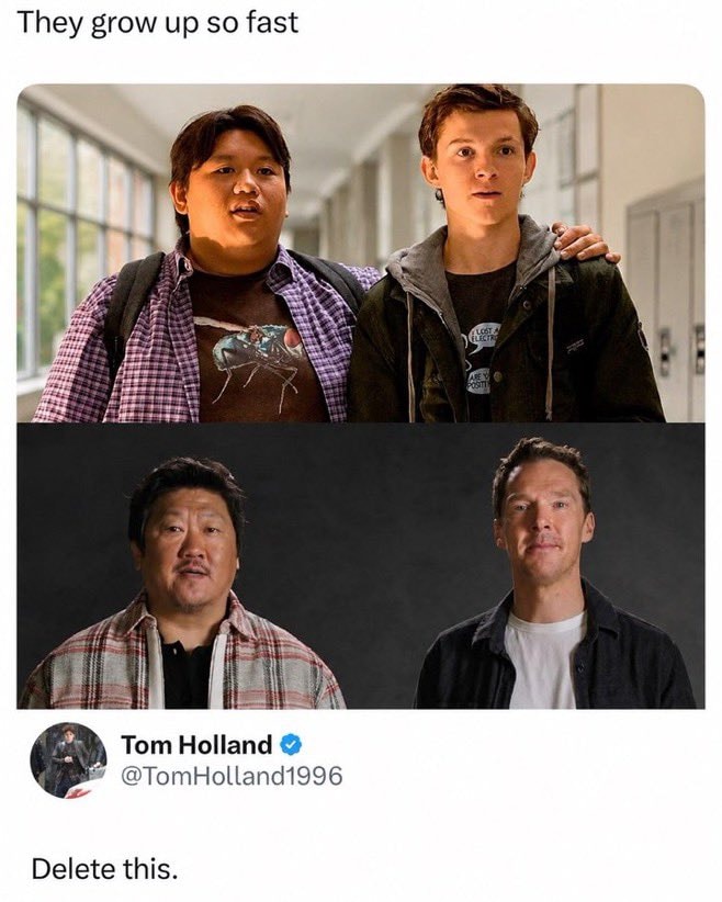 Ned Leeds and Tom Holland meme