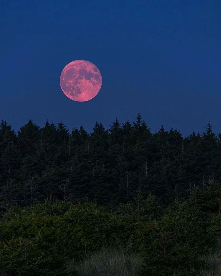 Pink moon over dunes (photo 2 of 2)