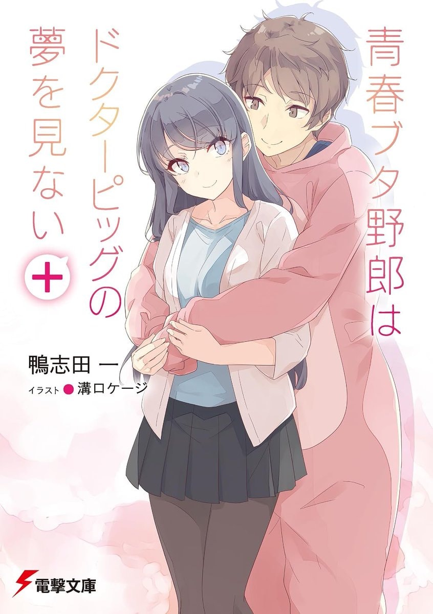 Rascal Does Not Dream Bunny Girl (photo 2 of 3)