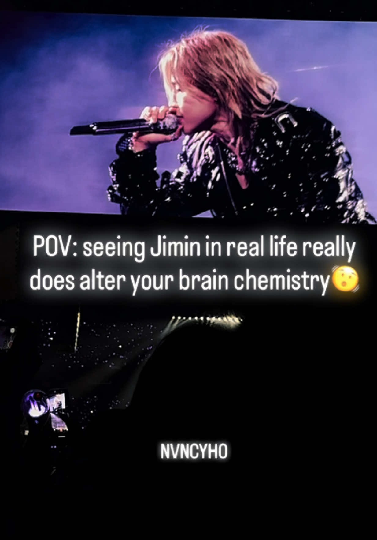 Jimin Arirang tour performance
