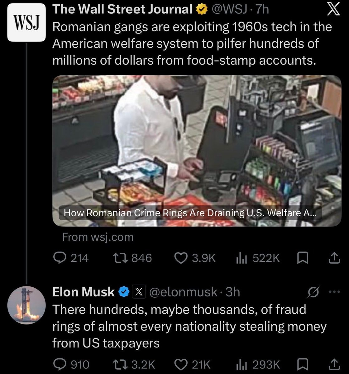 Elon Musk on fraud rings stealing taxpayer money